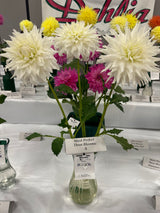 'Verda' | Dahlia Tuber | Shipping March - April 2025