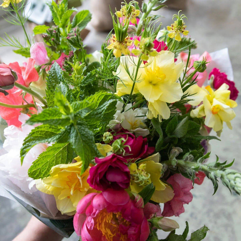 8 Week Autumn Flower Share | Local Pick-Up Only - Stone Hollow Farmstead