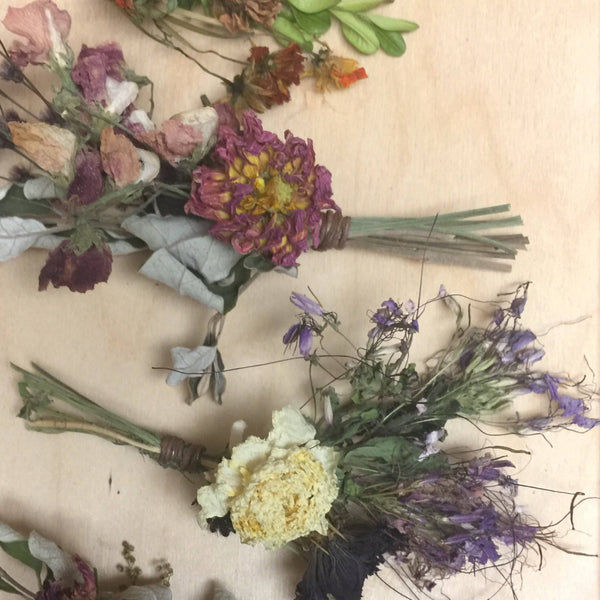 Dried Flowers/ Plants - Stone Hollow Farmstead